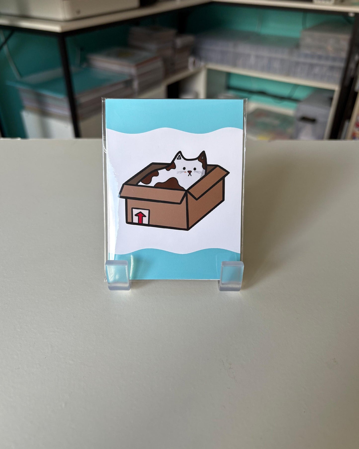 Cat In the Box 3x4 Print